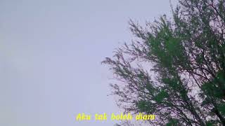 Download lagu Papinka - Pencuri Hati ( lirik ) mp3