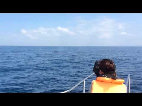 Archna Singh In search of killer whales - Mirissa, Srilanka