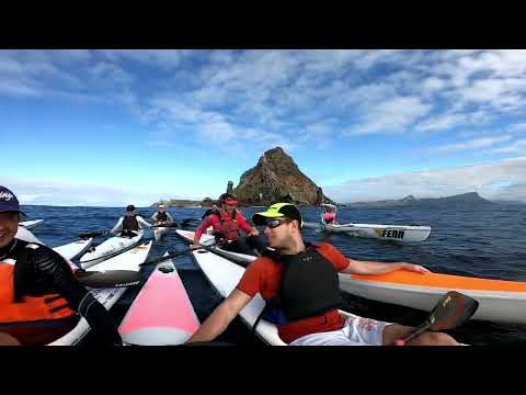 Cliffs, kelp and seals - and other amazing views paddling around the Cape of Good Hope