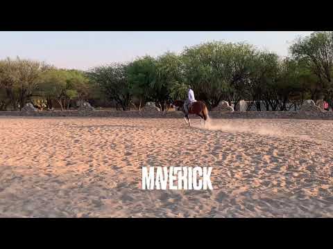 Maverick y Alejandro Mier Díaz