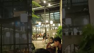 Download lagu Status WA di Cafe - Pengen Viral #viral #cafe mp3