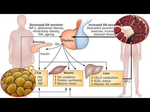 Osteo spruzzo salute recensioni osteocondrosi Dolore alla spalla e dellanca