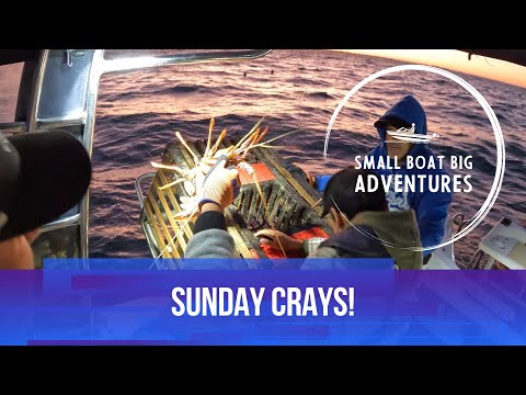 ! ! ! SUNDAY CRAYS ! ! !