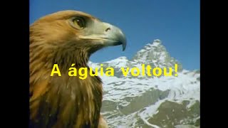 preview picture of video 'Chamada REDE ÁGUIA'