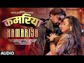 Audio KAMARIYA Song RAKESH MISHRA PREETI RANI POOJA NISHAD T Series Hamaar Bhojpuri