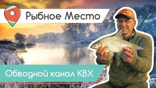 Ссылка