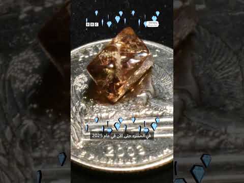 فيديو | أمريكي يعثر على ماسة نادرة في متنزه