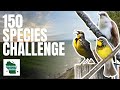 Can We Find Over 150 Bird Species in One Day? (Spring Big Day Challenge)