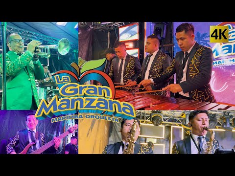 Marimba Orquesta La Gran Manzana  - Incontenibles Siempre 4K