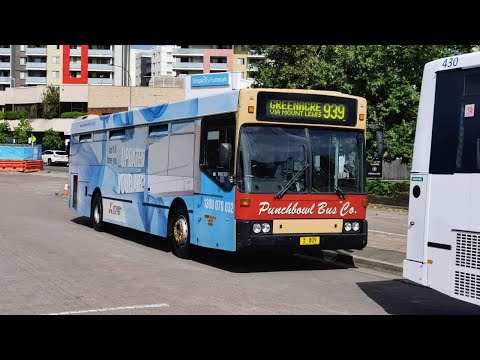 Punchbowl Bus Co M/O 809 - Scania L113CRL Austral Pacific