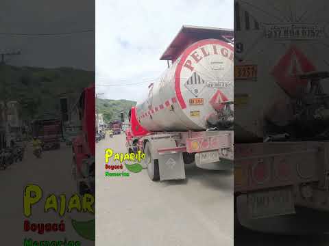 Pajarito - Boyacá (12:16 p.m.) (vía Sogamoso - Pajarito Boyacá)  05/12/2025