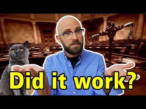 Killing a Cat in Court Video