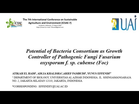 ICSAE-7 ID #45 CONSORTIUM BACTERIA DESIGN OF PATHOGENIC FUNGI DEVELOPMENT CONTROLLER FUSARIUM...