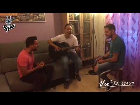 ADRIAN, SALVA y FRAN de LA VOZ "Menos mal" de Manuel Carrasco​ | VEOFLAMENCO