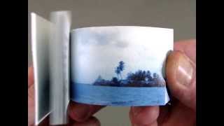 Blue Dream Flipbook by Orenda Fink & Scott Blake