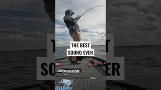 Download lagu Suara TERBAIK untuk memancing! mp3