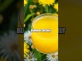 Unusual Facts About Dandelion Wine