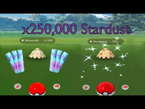Can I Get 250,000 Stardust In One Hour?
