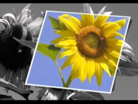 Cloudburst Flight by Chris Franke.