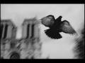 La Rocca - Non Believer 