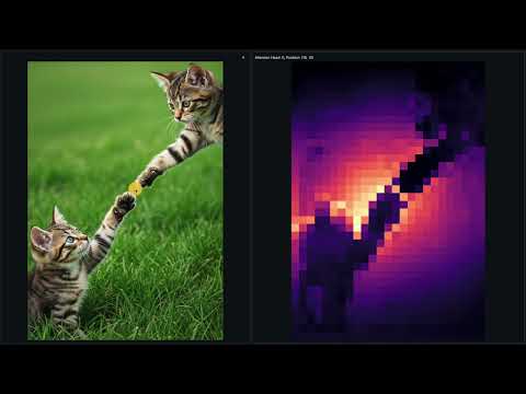 Visualizing Attention In Detection Transformer Using Python