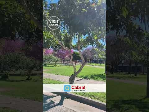 Paseo en bici por la Plaza Cabo 1º Marciano Verón 🚴☀️ | Visit Saladas