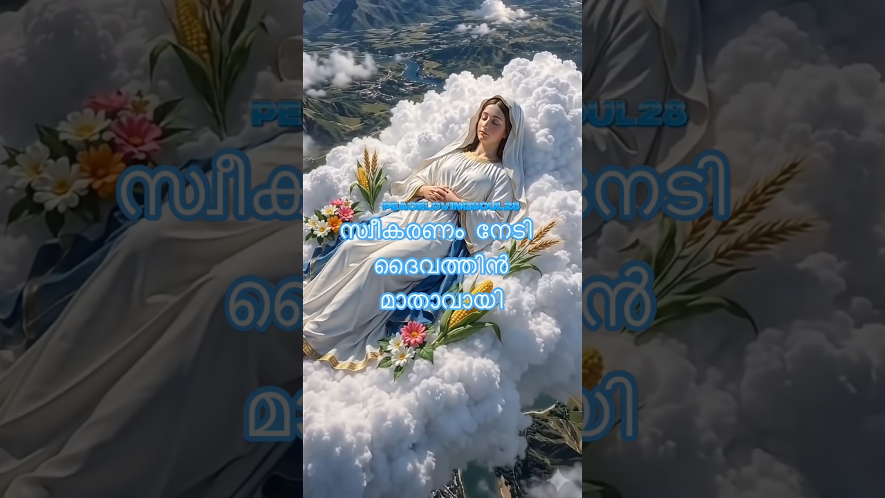 സ്വീകരണം നേടി ദൈവത്തിൻ മാതാവായി