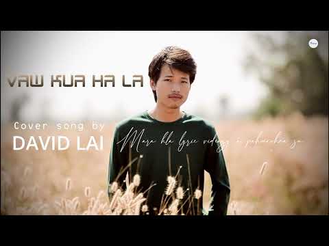 David Lai - Vaw kua ha la Lyric video ( Mara Hla pha kawpa )