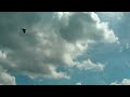 Philip Glass - Music in Twelve Parts (Part 6)