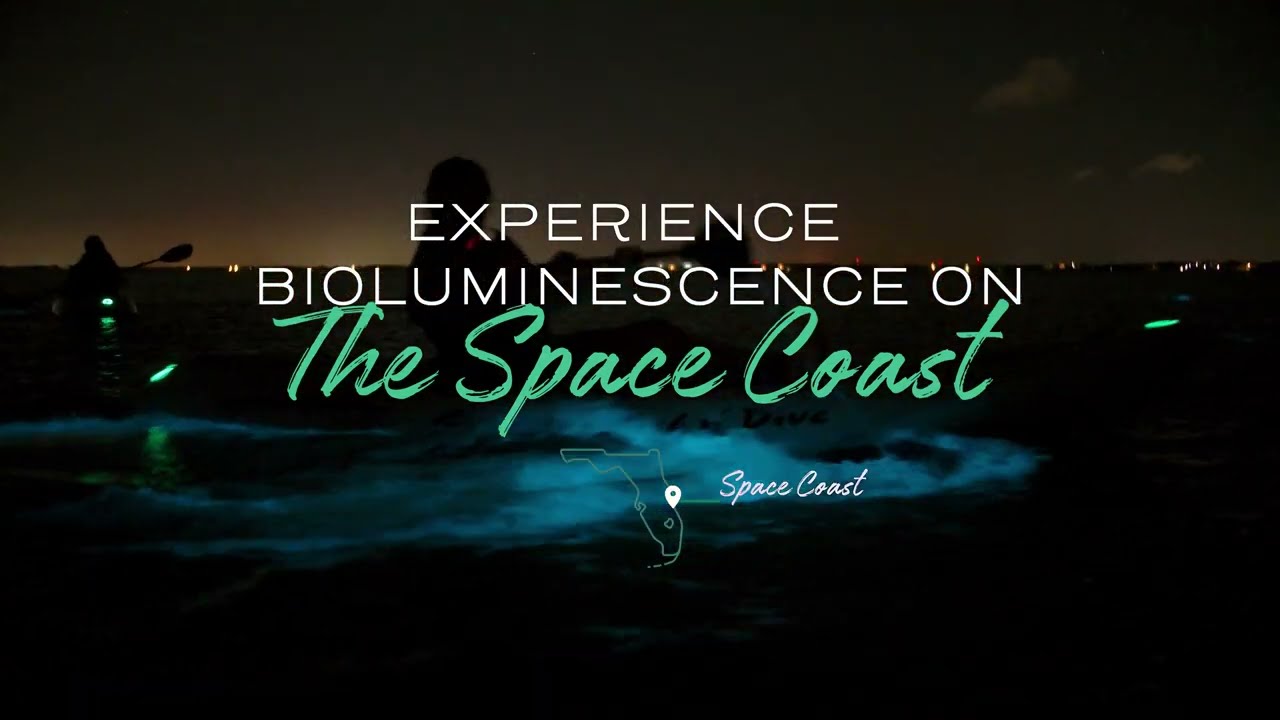 Visit Florida - Bioluminescence Experience