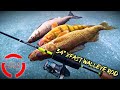 Video Thumbnail for CIRCLE TACKLE 34" XFast Walleye Ice Fishing Rod Review (Won Instagram Giveaway)