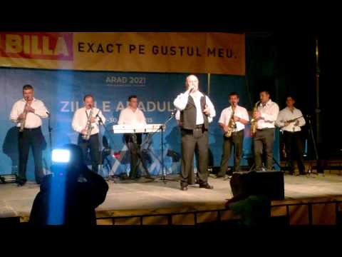 ZILELE ARADULUI 2015 - STEFAN MUNTENAS -  COLAJE
