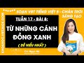 Vở bài tập Tiếng Việt Lớp 5 Bài 8: Từ những cánh đồng xanh