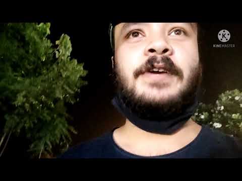 AMUL ICE CREAM| AHMEDABAD|  AMULFED DAIRY| AMUL CAFE