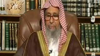 صورة برنامج (فتاوى) (040) لمعالي الشيخ صالح الفوزان بتاريخ [1435-01-17] - كبار العلماء