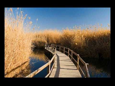 download lagu mp3 mp4 Gipsy Kings Arabic Music, download lagu Gipsy Kings Arabic Music gratis, unduh video klip Gipsy Kings Arabic Music