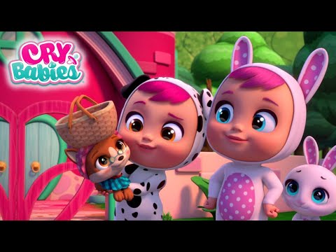 The Best Pet ???? CRY BABIES Full Episodes Magic Tears | Kitoons Cartoons for Kids