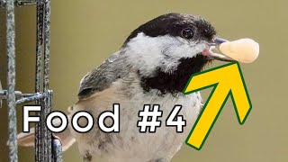 8 Foods That Attract Chickadees To Bird Feeders! (Have you tried #7?)