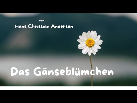 Märchenklassiker:  Das Gänseblümchen von H.C.Andersen in voller Länge 