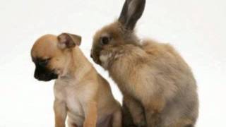 Happy Ending - Swing Out Sister