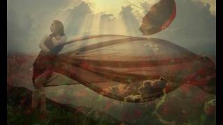 Did You Sleep Well? - Crooked Still (Lyrics)