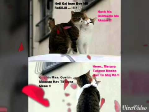 Al-alion ft jevat star ( Magije )