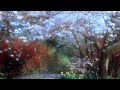 OST Duelist - Main Theme 