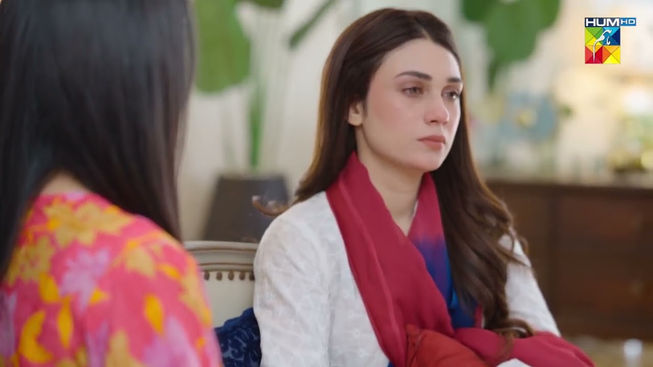 Life Partner Chahye House Keeper Nahi...! Aye Dil Aazma Nahin - HUM TV