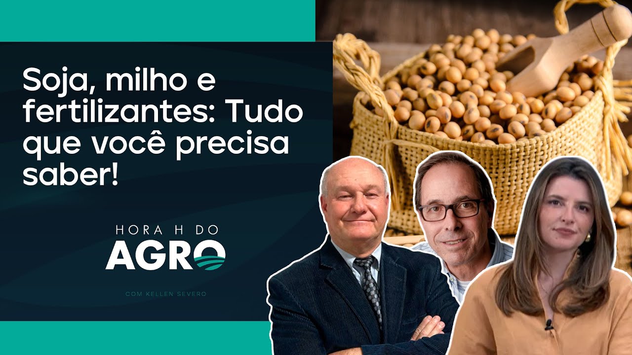 Pico de alta da soja pode ter ficado para trás; entenda! | HORA H DO AGRO