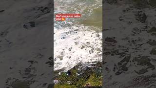 Motivation of the day #pullupyoshorts #discovermyafrica #cookingchannel #ocean