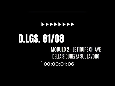 D.Lgs 81/08 - MODULO 2 - Le Figure Chiave della Sicurezza sul Lavoro