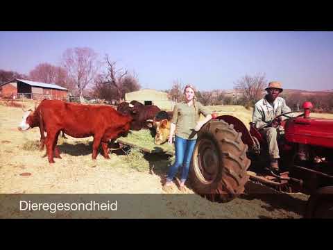 Graad 10's Vakkeuses 2022 - Landbouwetenskap