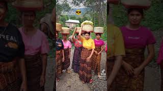 Download lagu Tradisi Ende Lio sare Pawe(Wuru Mana)👻🤝 mp3