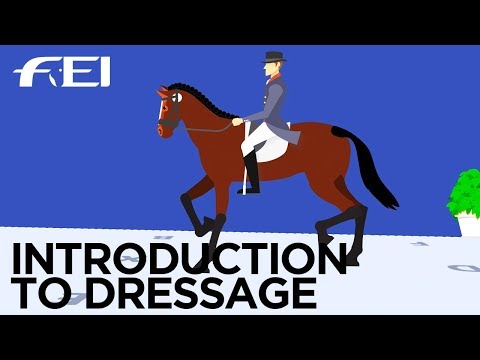 What is Equestrian Dressage? These are the rules.